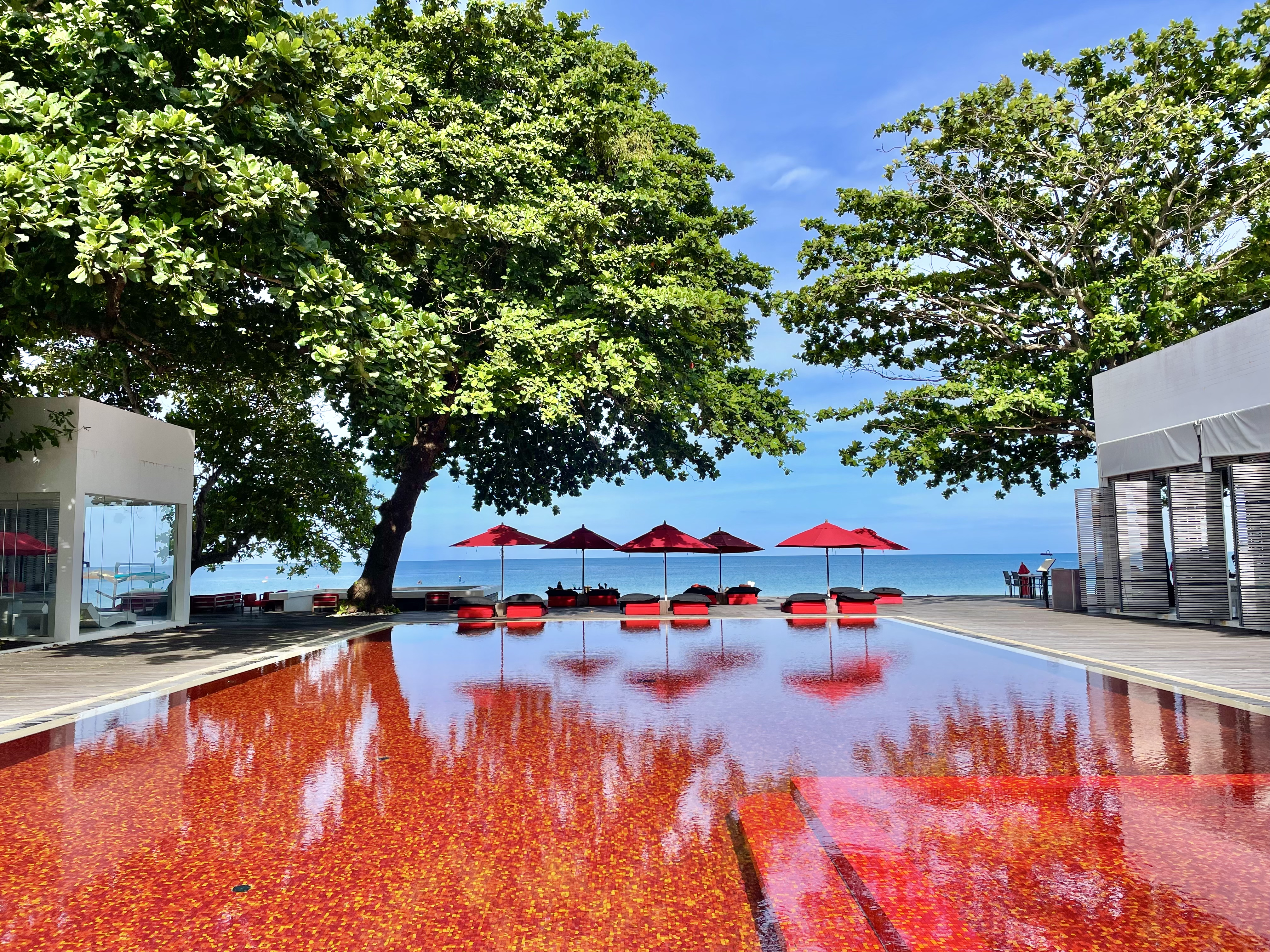 ѪɫӾ  ÷ͼݾƵ The Library Hotel Koh Samui