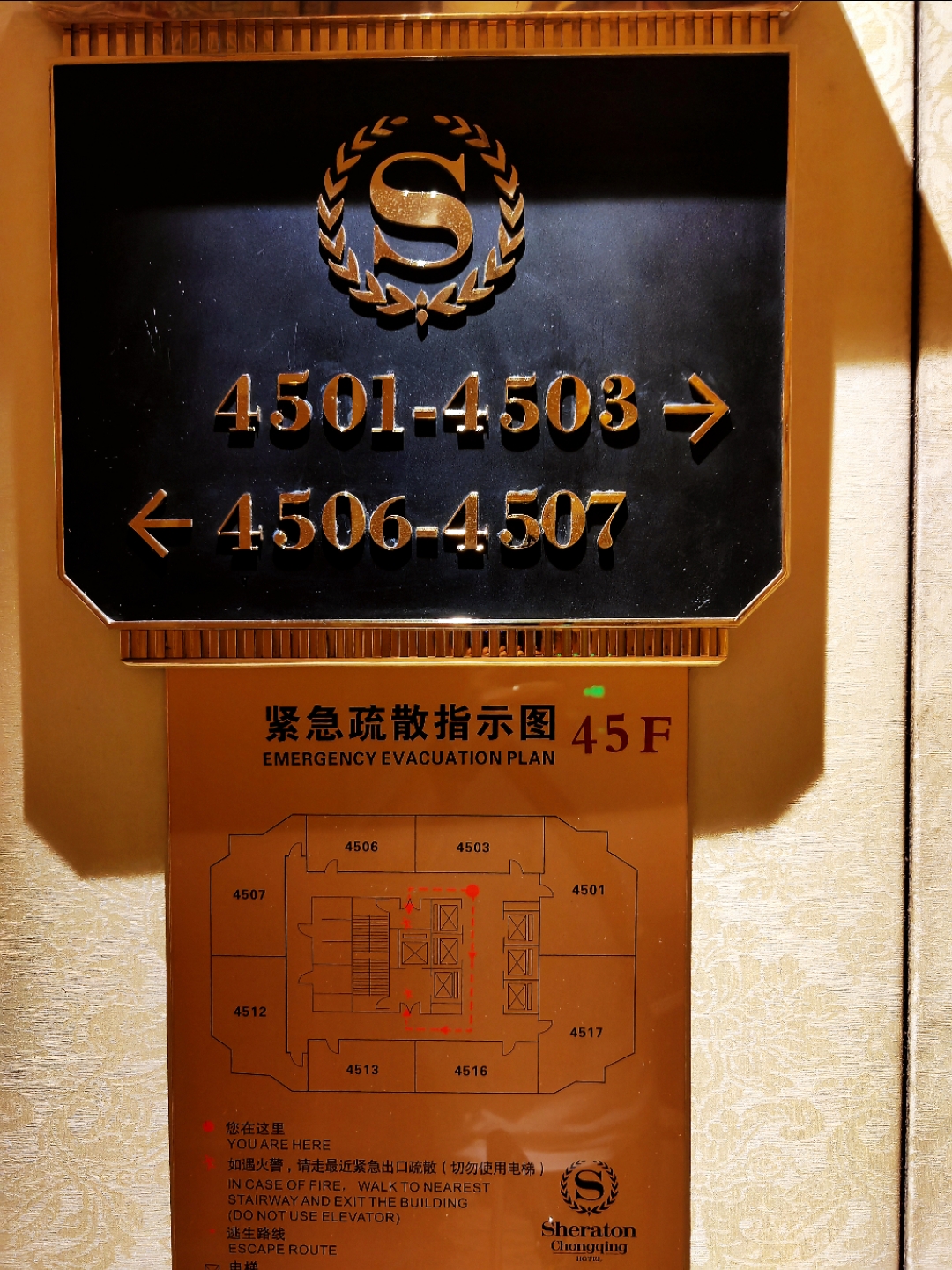 ˫¥۷¶Ÿ䣬ϲ