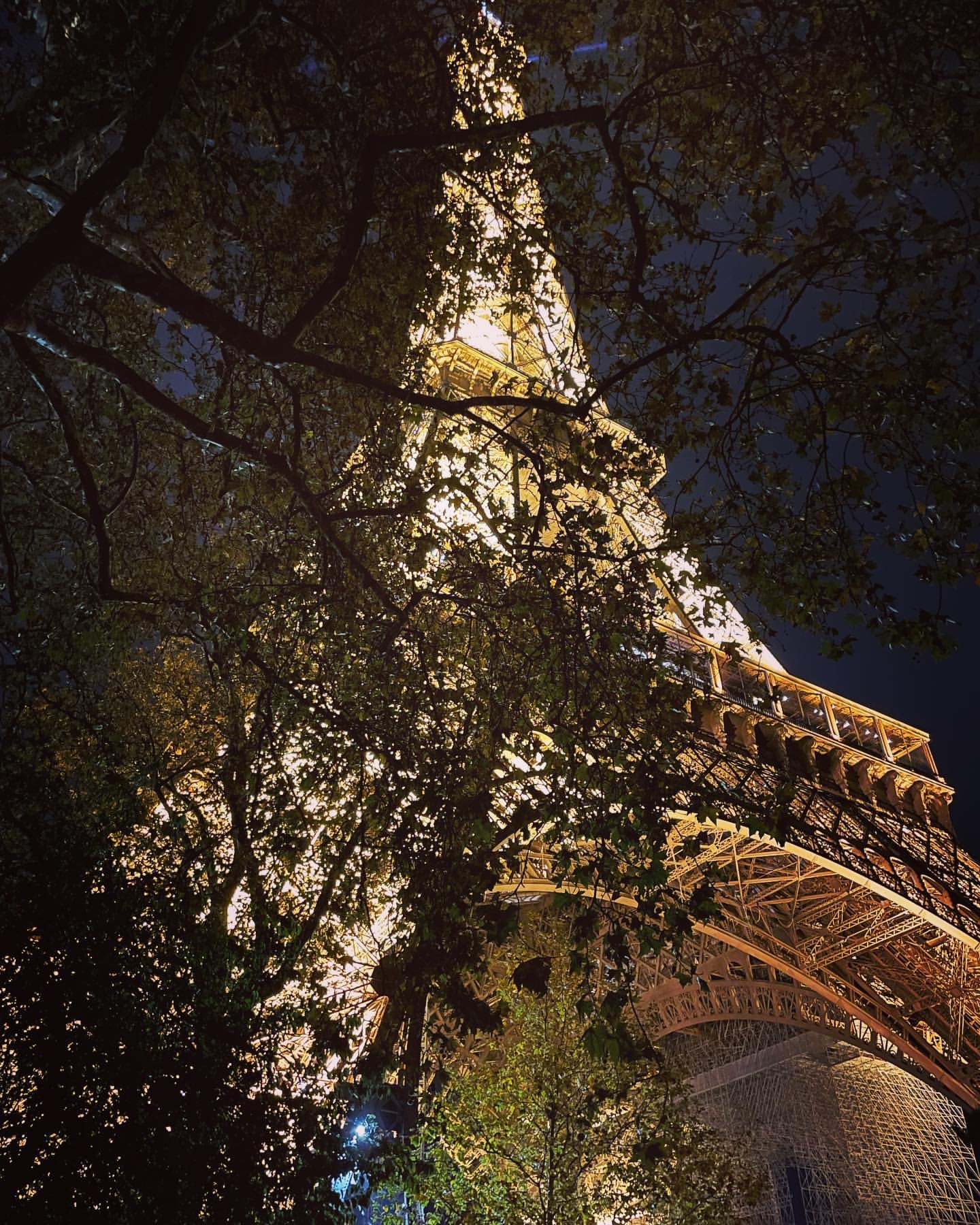 Tamꡪ Ritz Hotel Paris ȾƵ