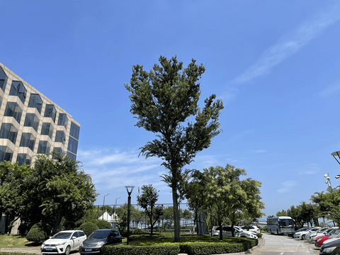 自驾山东行：期待着威斯汀及雅乐轩的营业给烟台万豪系带来改变之烟台金沙滩度假酒店