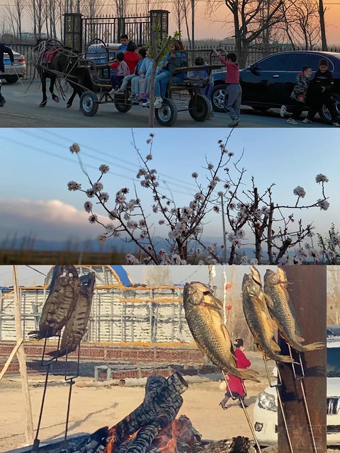 南方航空CZ6944 成都—乌鲁木齐成都玩的时间还没往返飞行时间长