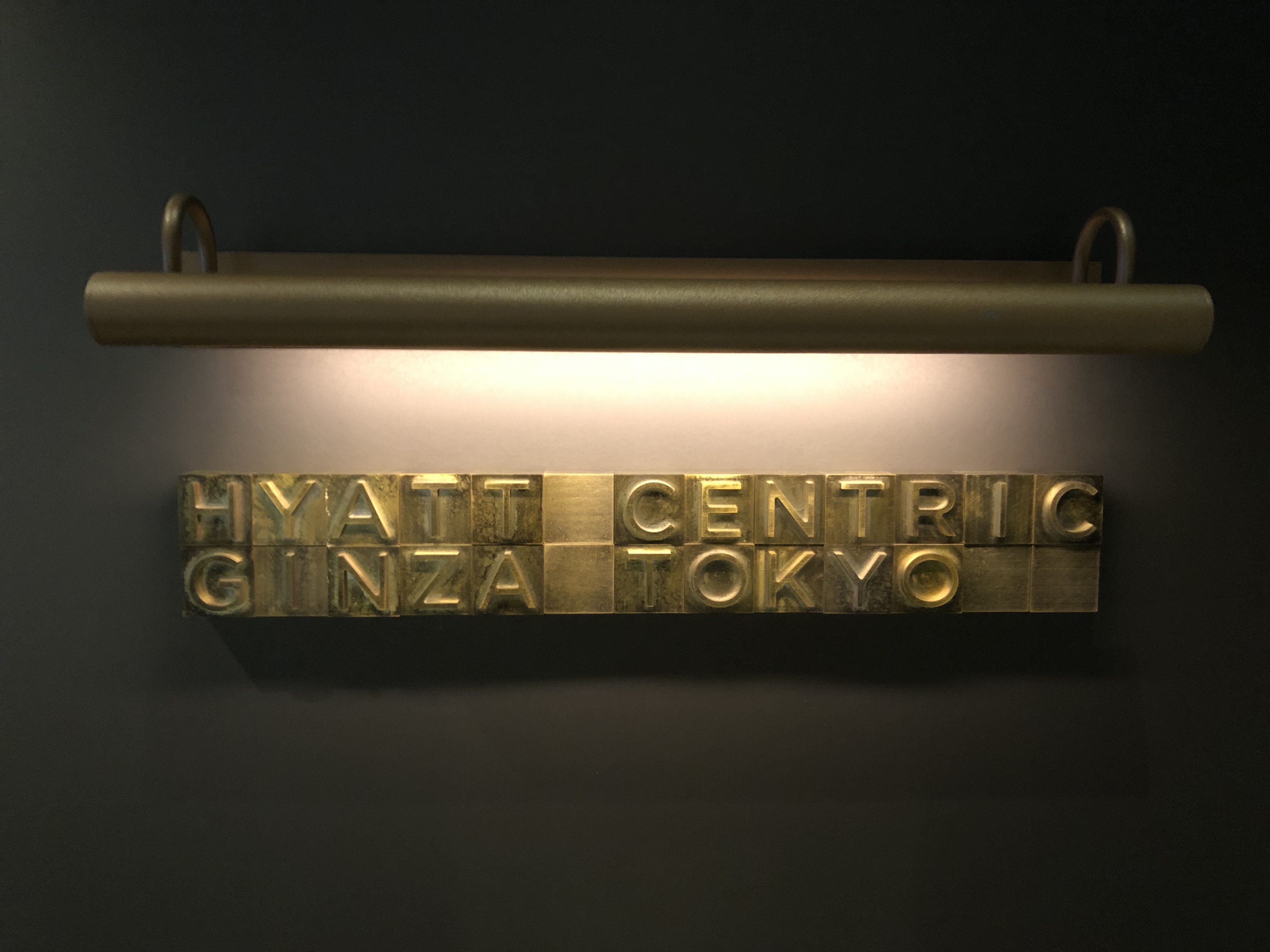 ձhyatt centric ס