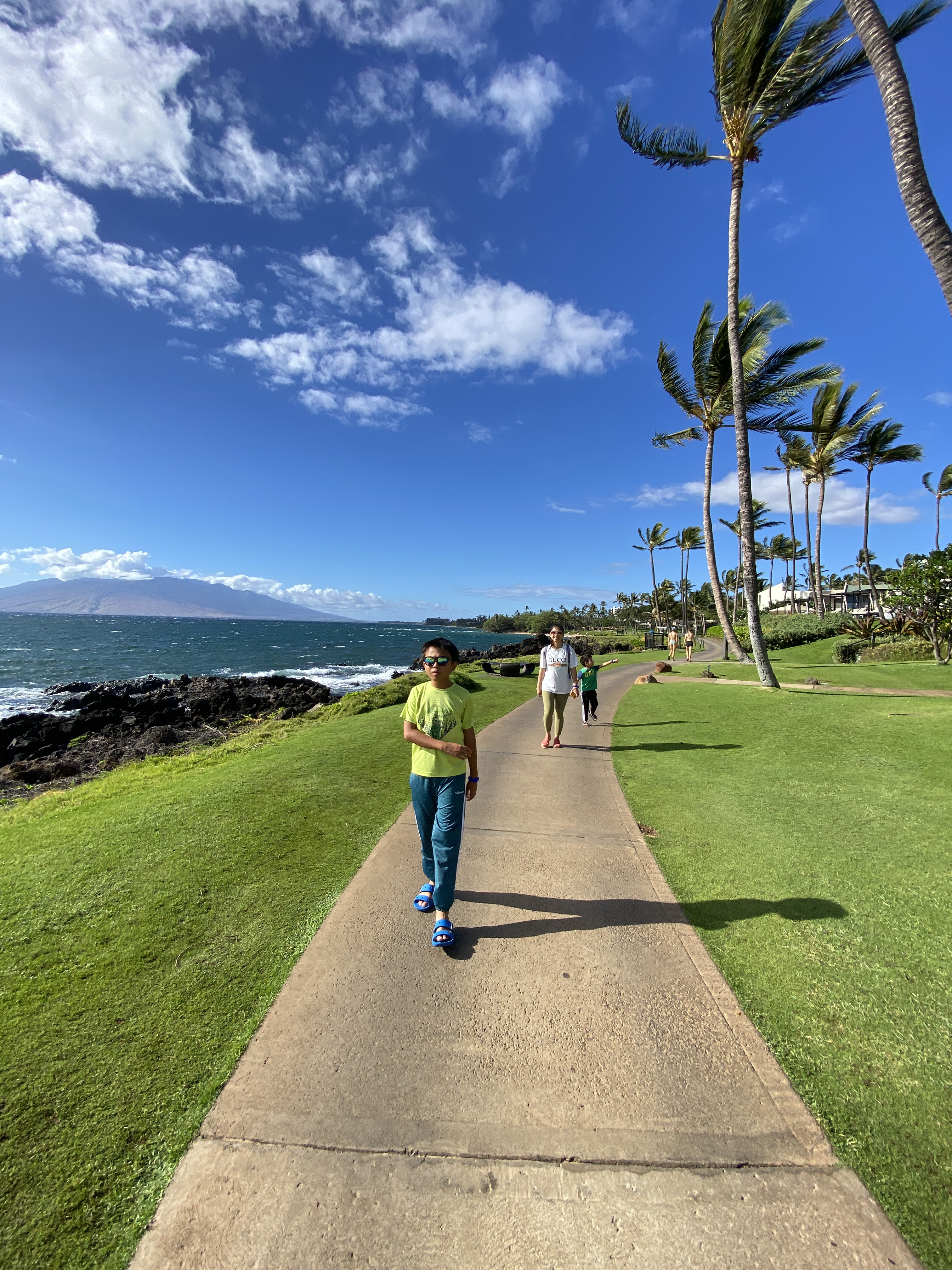 ï˵Wailea Beach Resort - Marriott, Maui(202213վ)