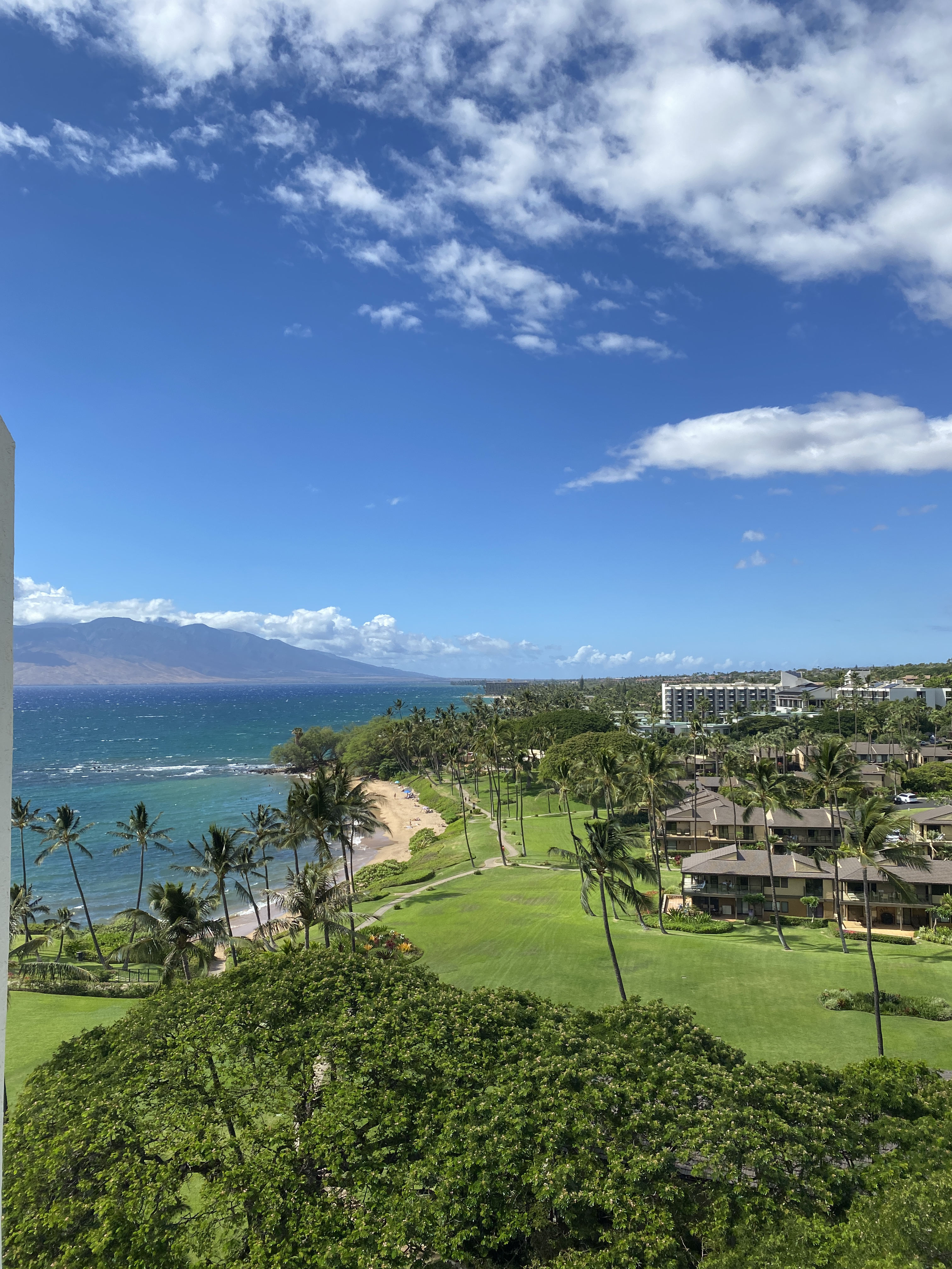 ï˵Wailea Beach Resort - Marriott, Maui(202213վ)