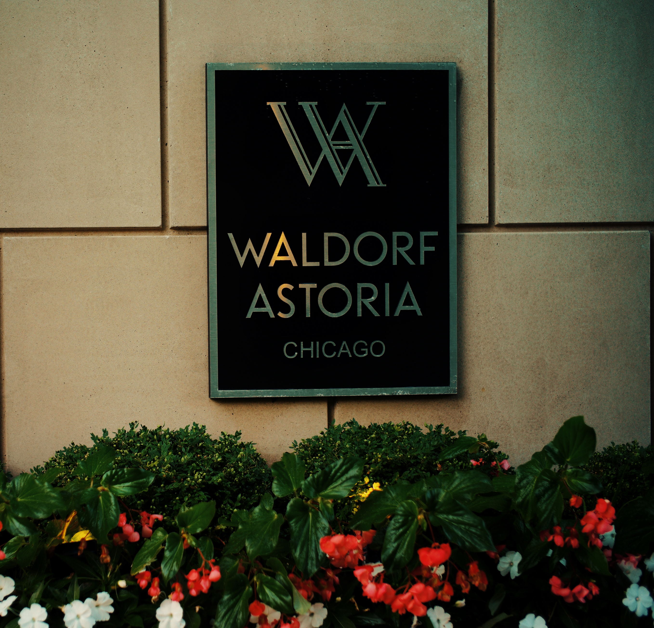 Լݵվ֥ӸƵ Waldorf Astoria Chicago