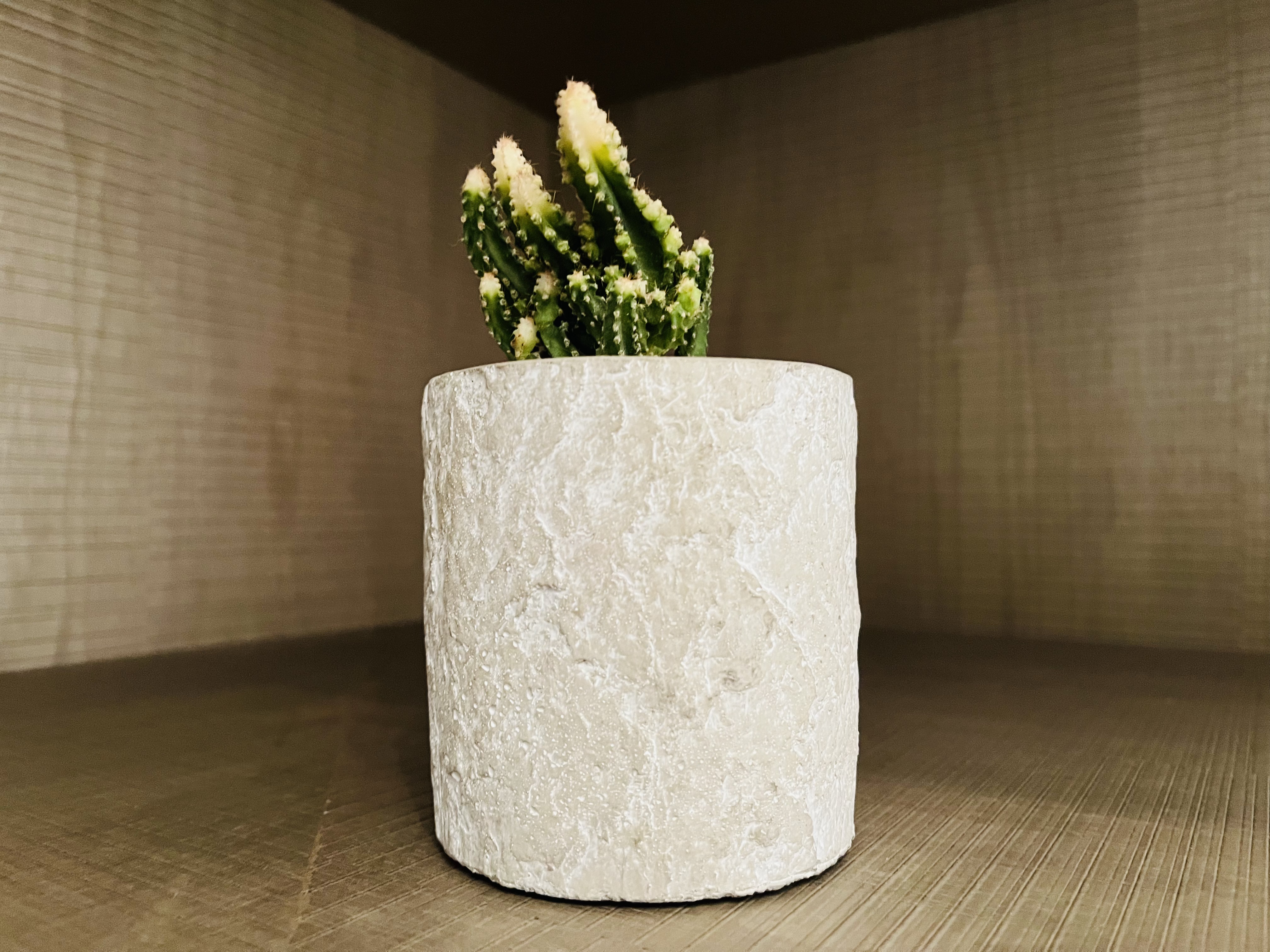 Ϻ³JWƵ꽭׷ס