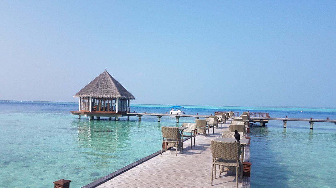 ûзе1000-- Maldives hideaway resort ɺƵ