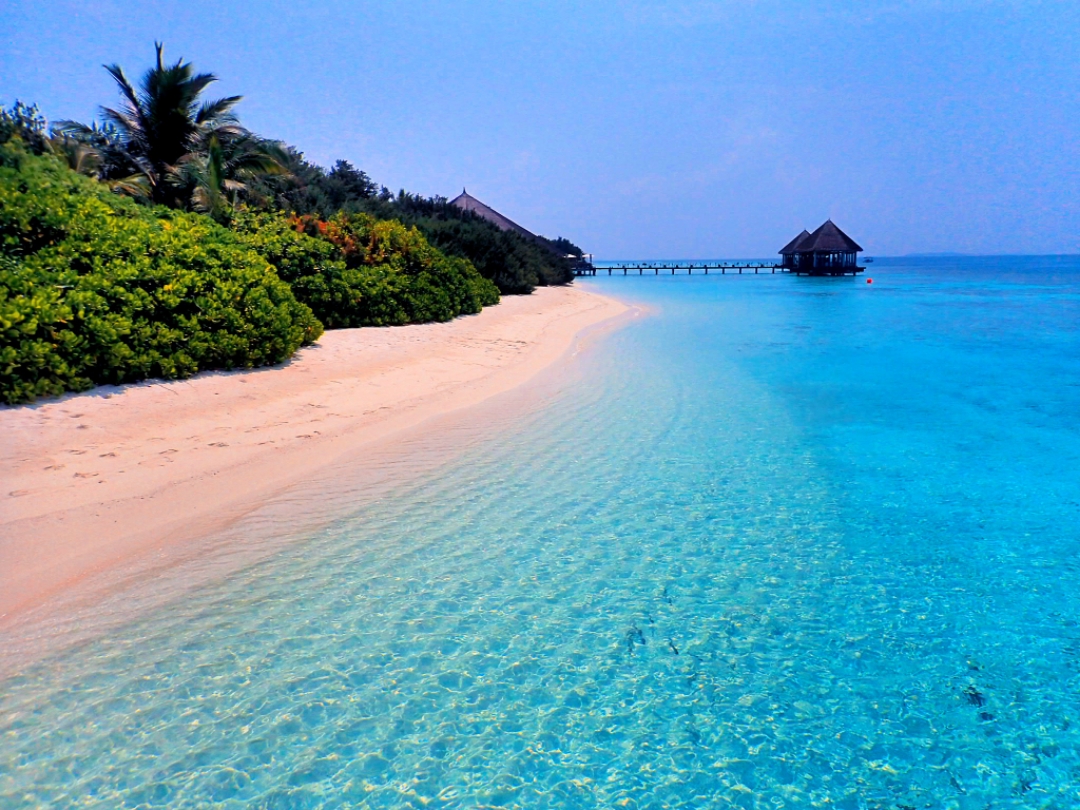 ûзе1000-- Maldives hideaway resort ɺƵ