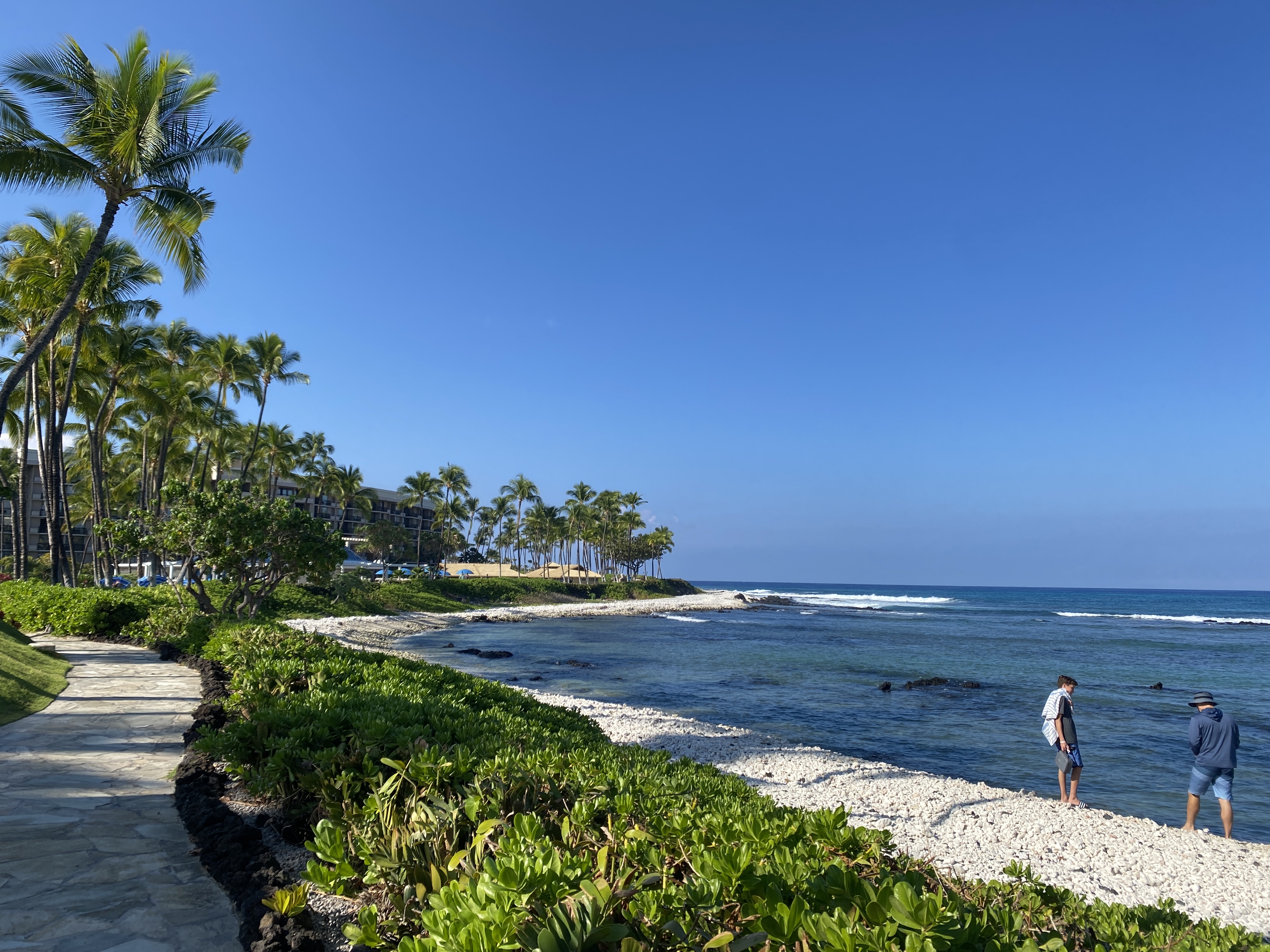 Hilton Waikoloa VillageĴάׯϣپƵ