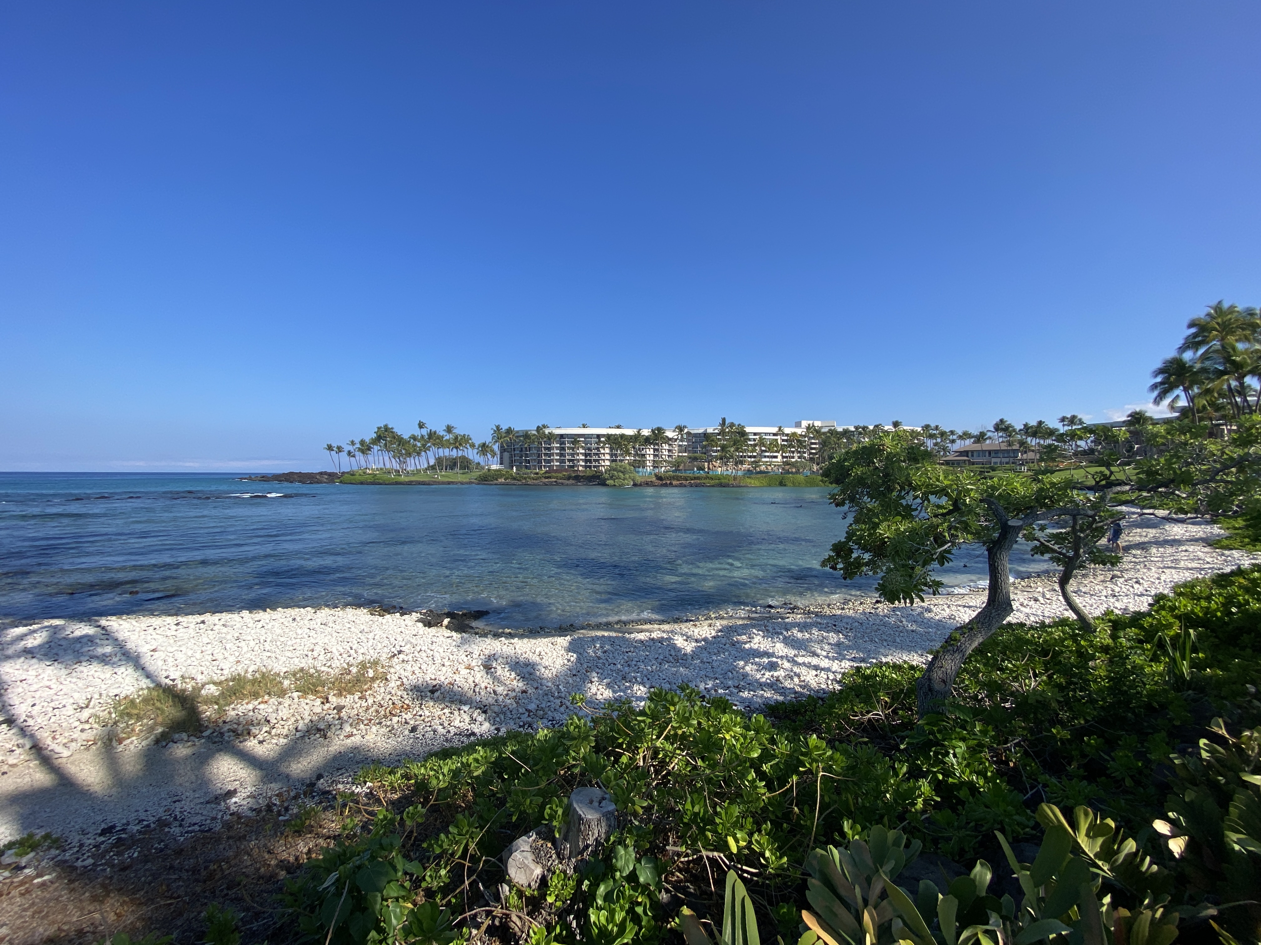 Hilton Waikoloa VillageĴάׯϣپƵ