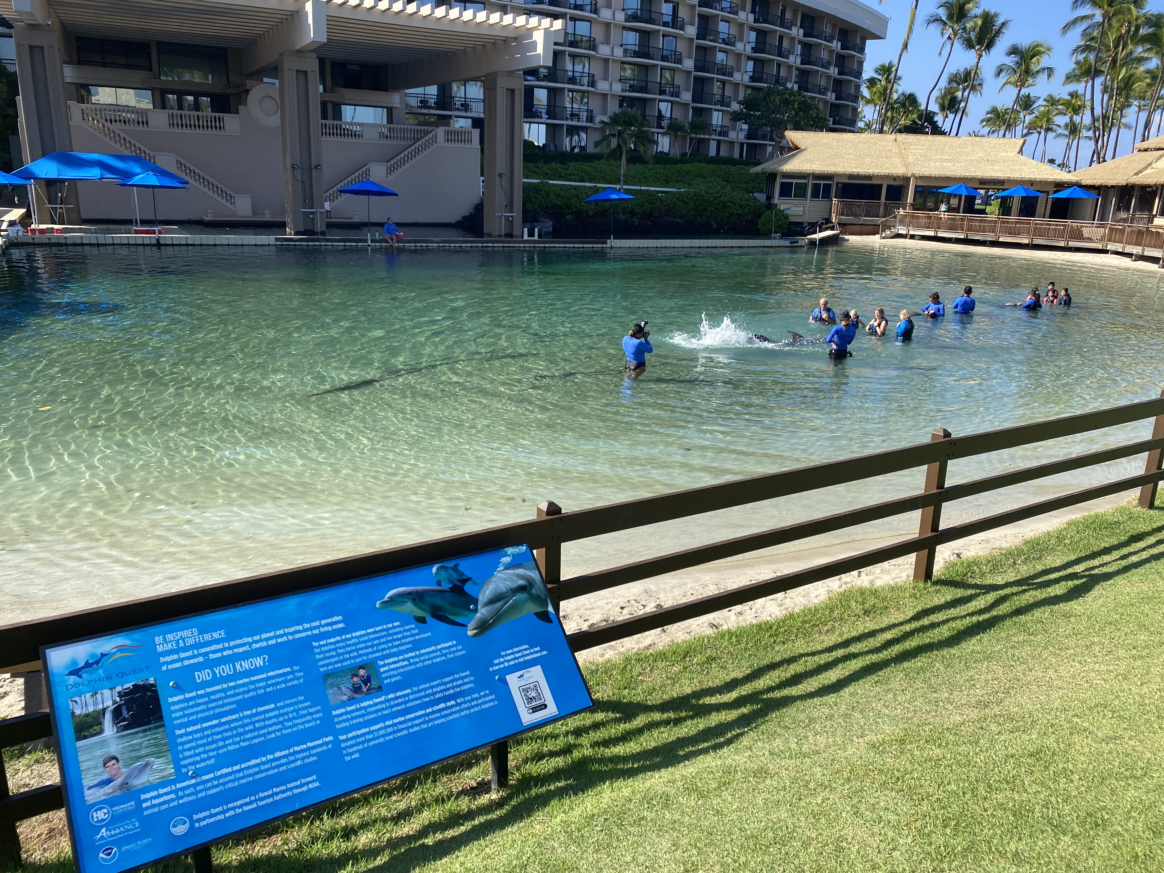 Hilton Waikoloa VillageĴάׯϣپƵ