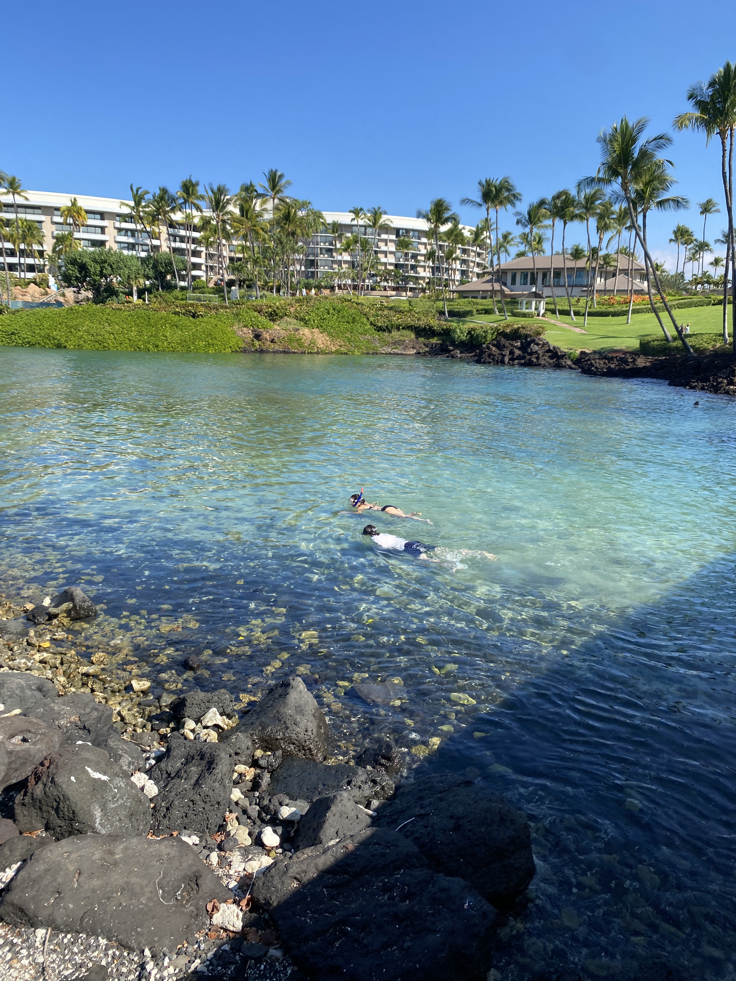 Hilton Waikoloa VillageĴάׯϣپƵ