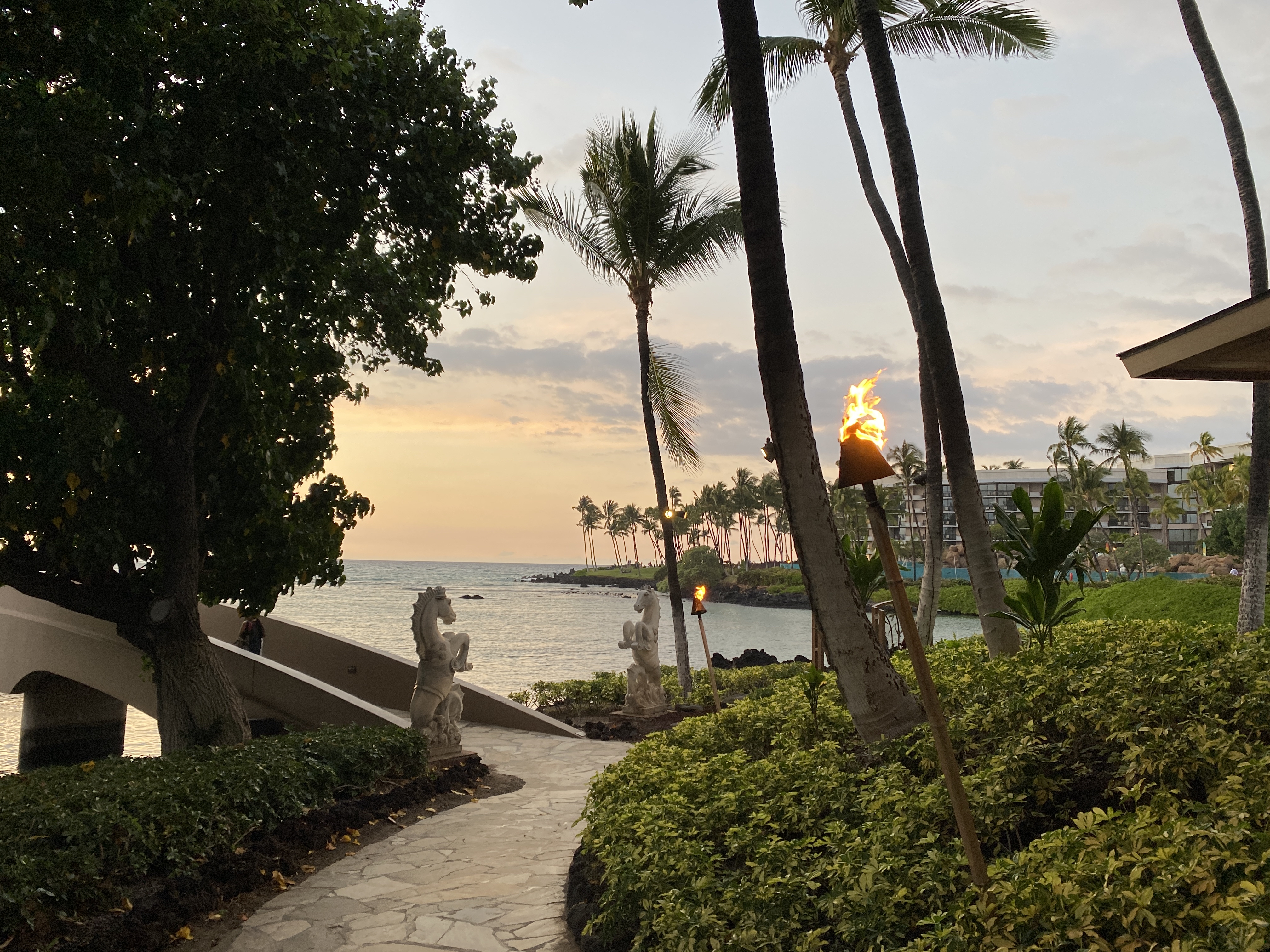 Hilton Waikoloa VillageĴάׯϣپƵ