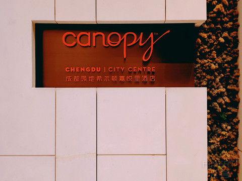 “阴倒有点”厚道的Canopy Chengdu，成都领地希尔顿嘉悦里周末Staycation