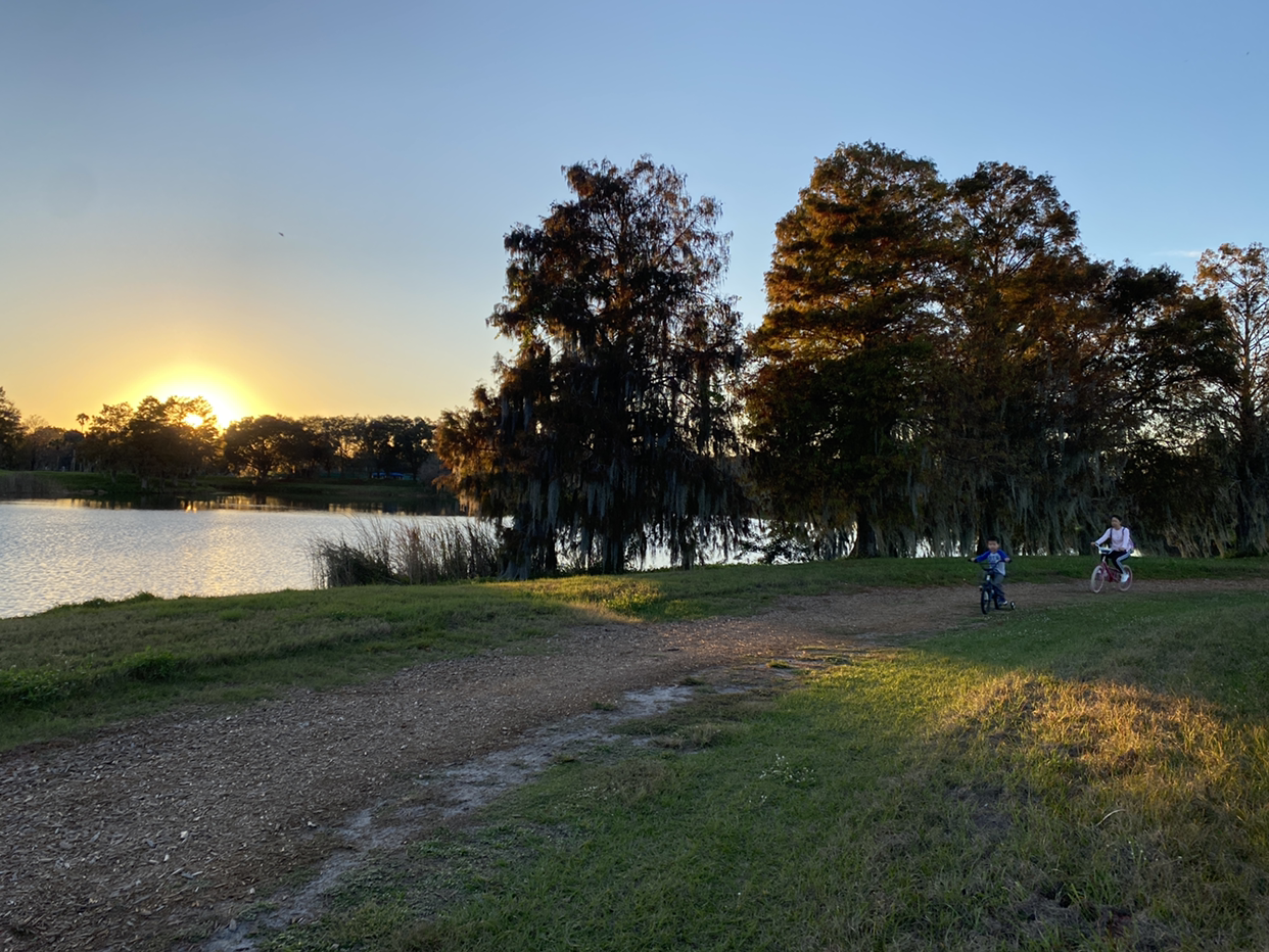 Hyatt Regency Grand Cypress Resort·˹öȼٴ