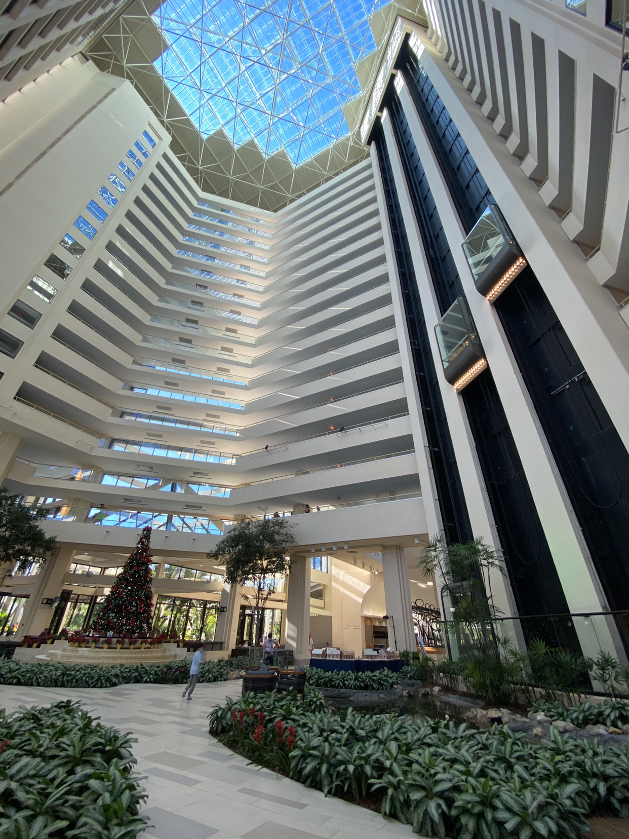 Hyatt Regency Grand Cypress Resort·˹öȼٴ