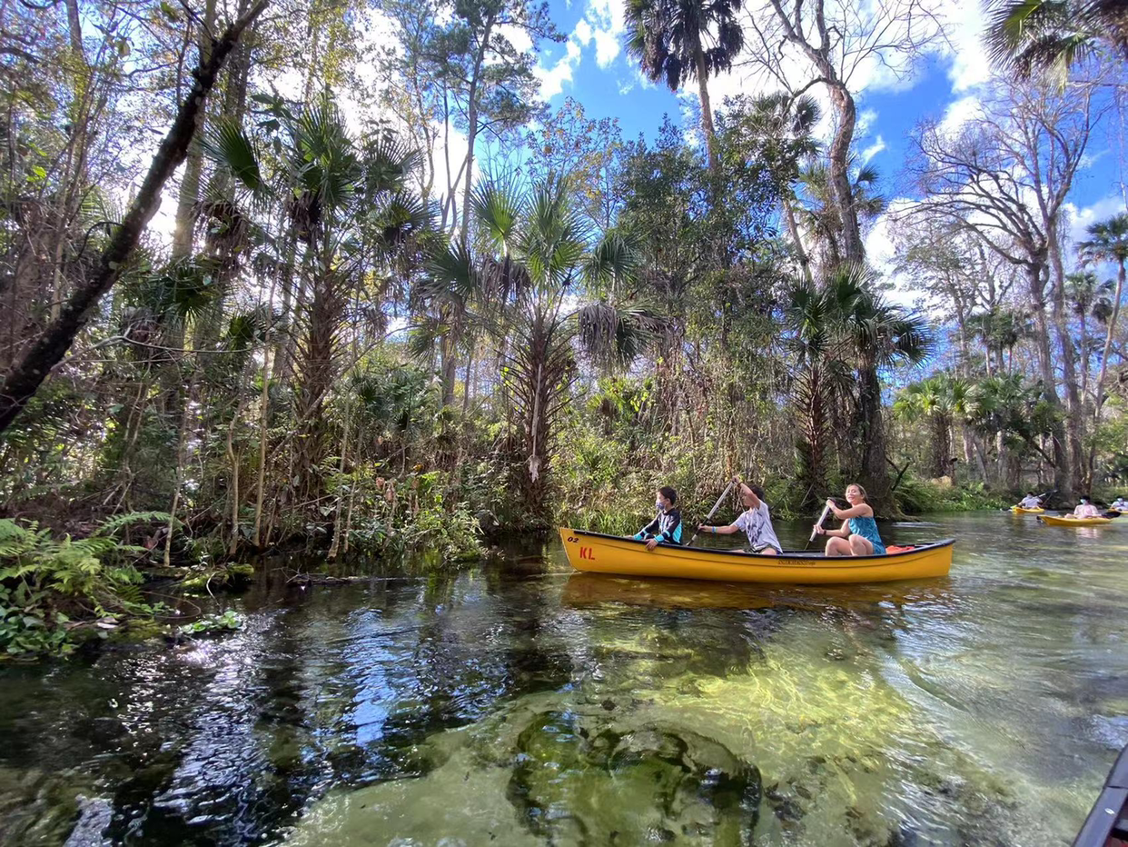 Hyatt Regency Grand Cypress Resort·˹öȼٴ