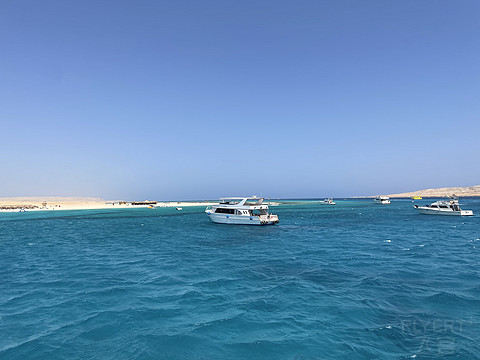 潜水胜地-Hilton Hurghada Plaza