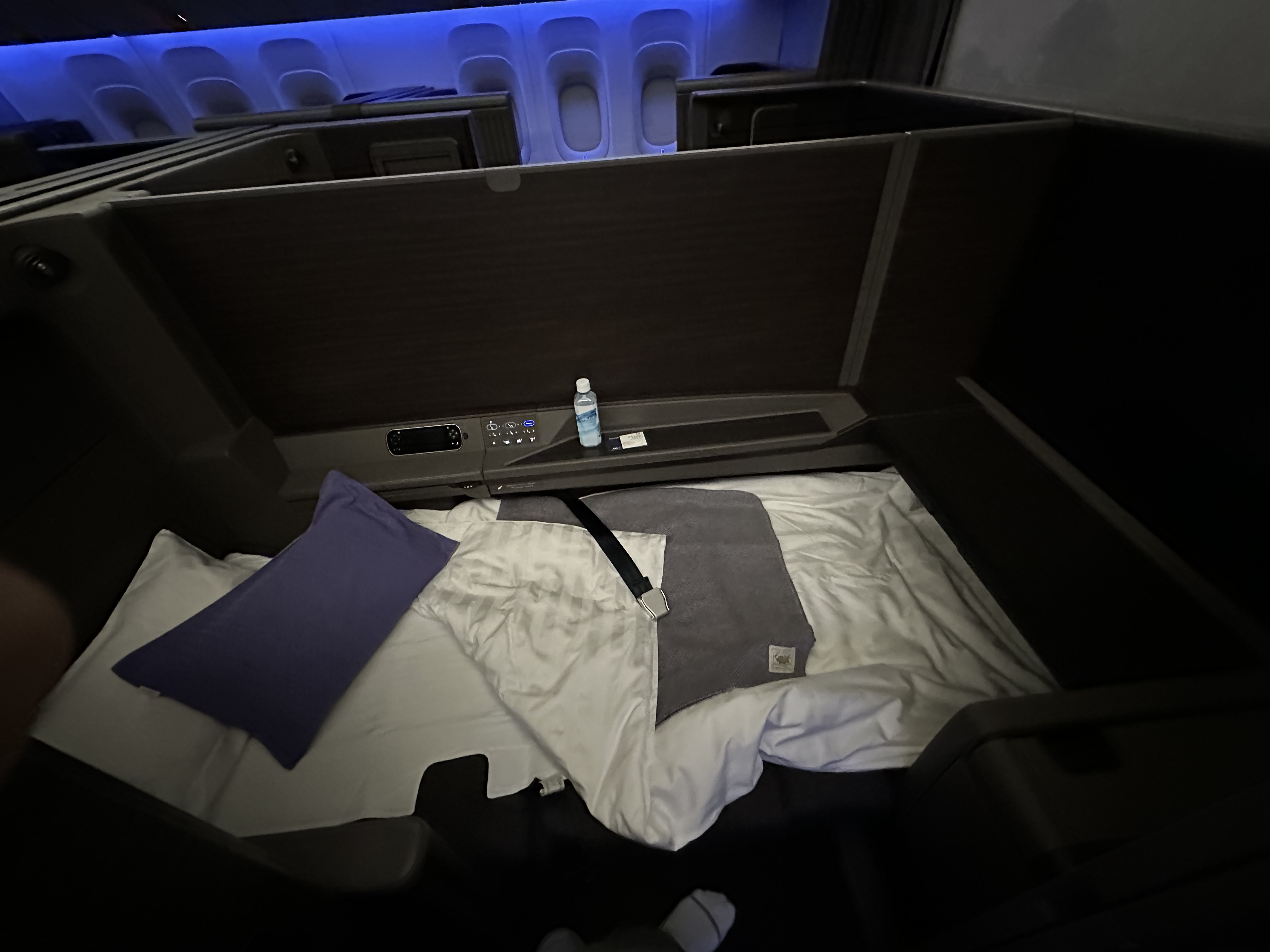 All Nippon Airways The Suite ² ORD-HND