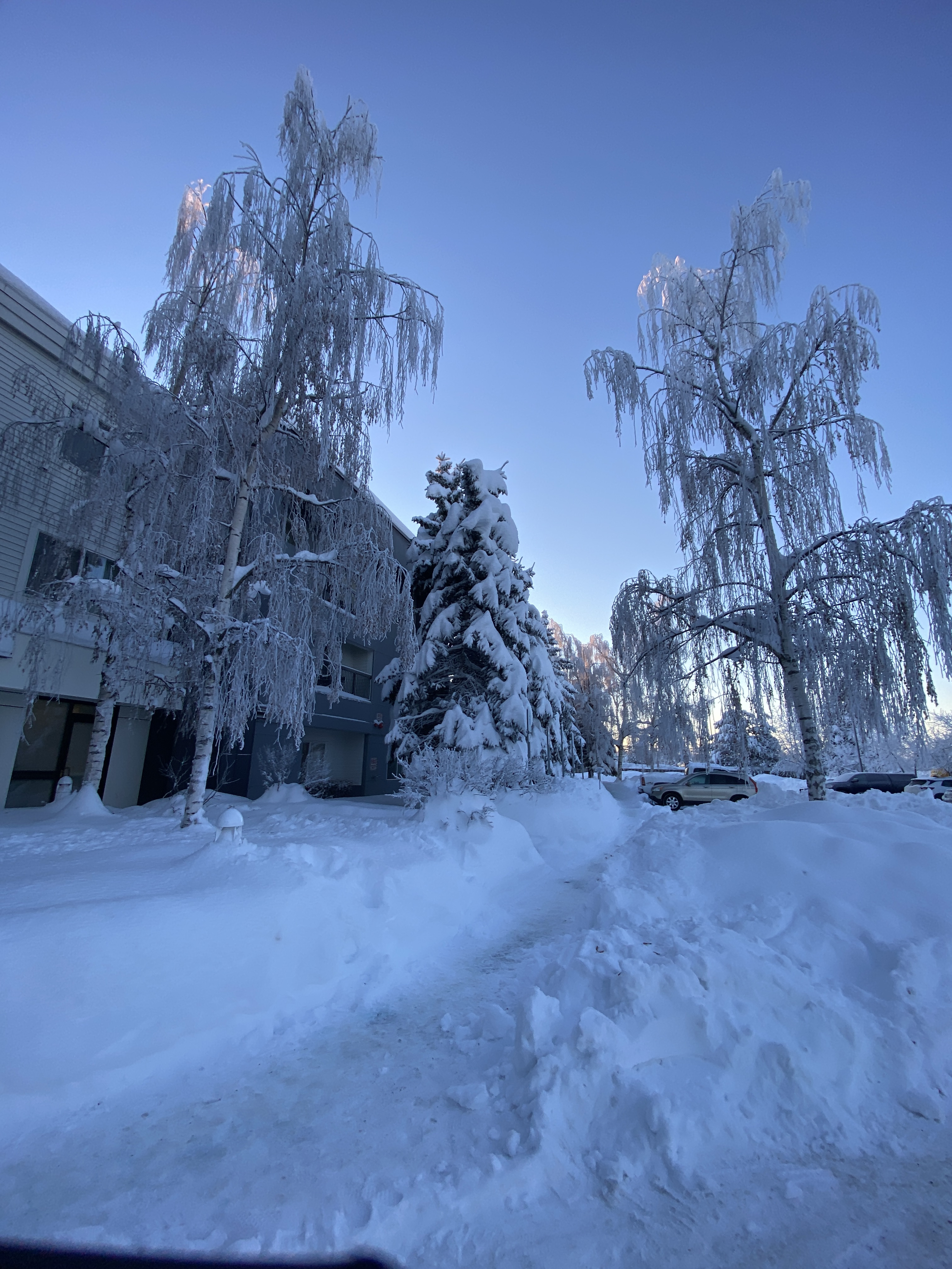 Courtyard by Marriott Anchorage Airport(202220վ)׷