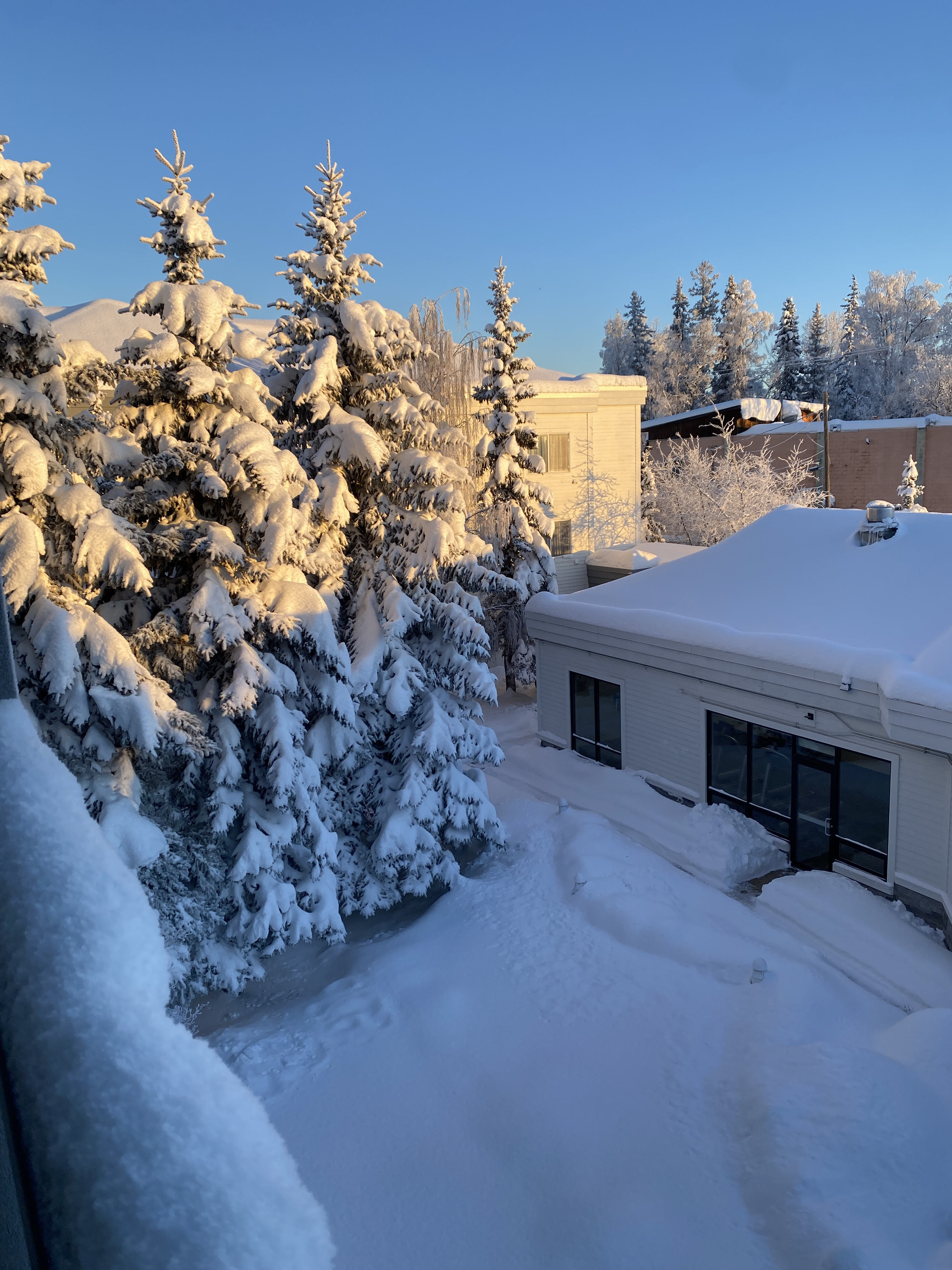 Courtyard by Marriott Anchorage Airport(202220վ)׷