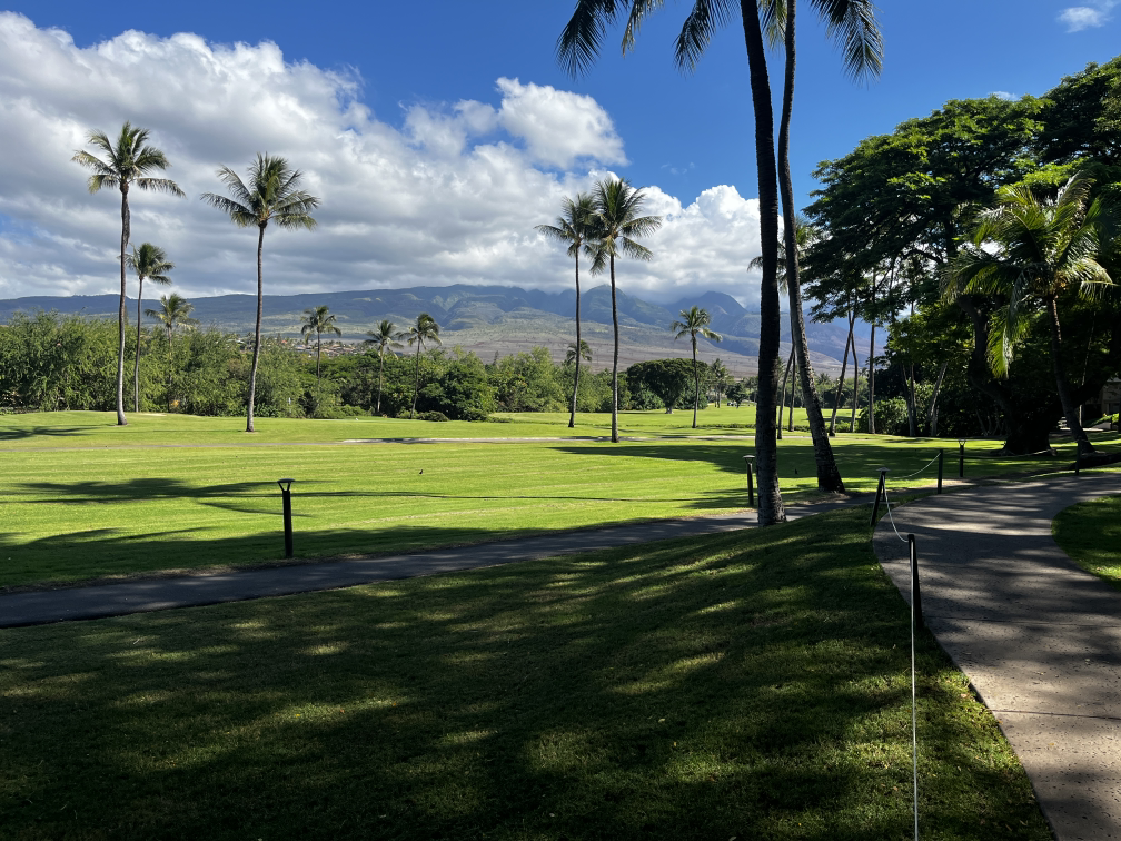 ׷ï˵öȼٴٺ˫ ̽ס Ocean Front @ Hyatt Maui