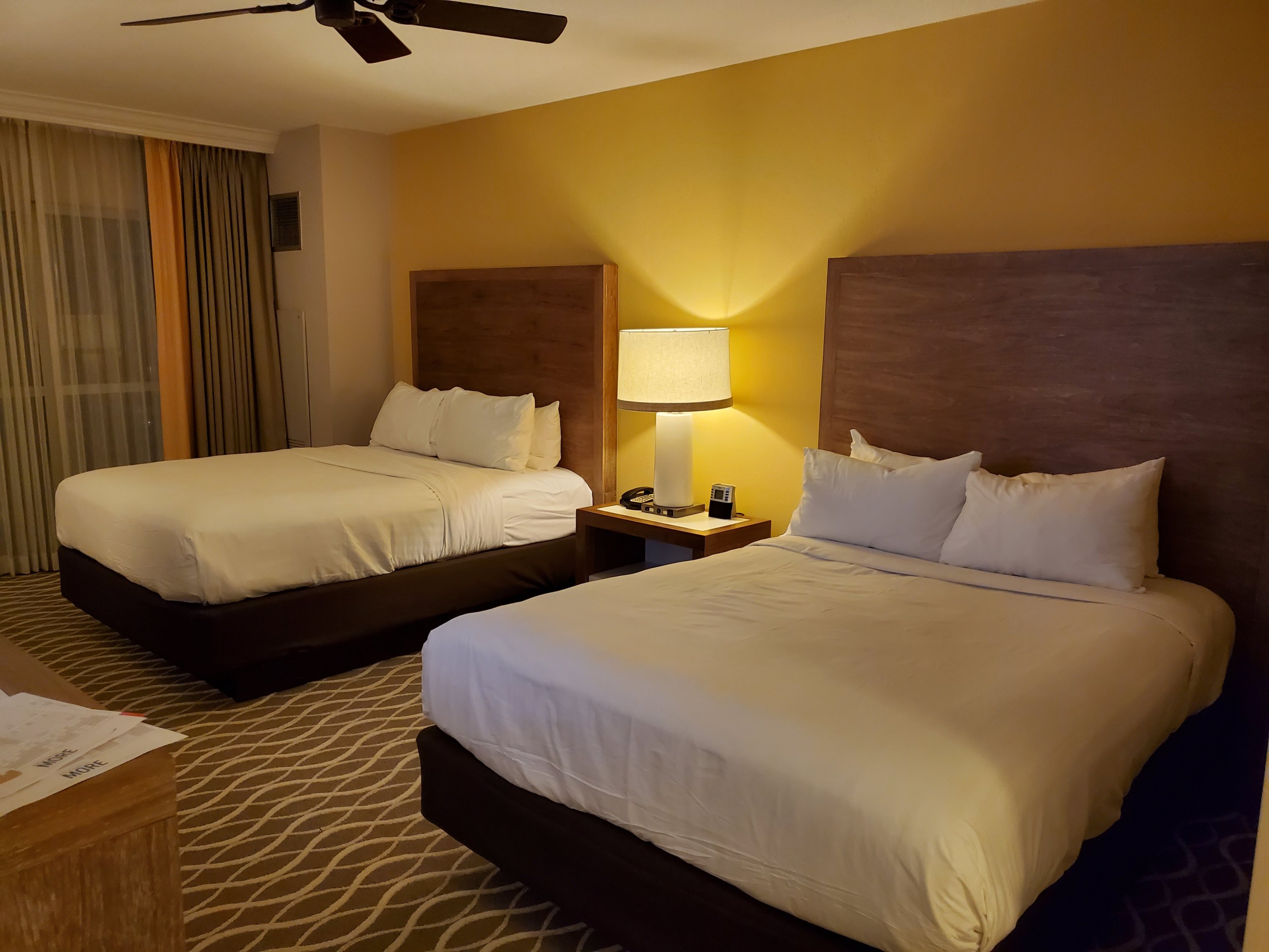 Gaylord Palms Resort & Convention Center --- ʱĶס