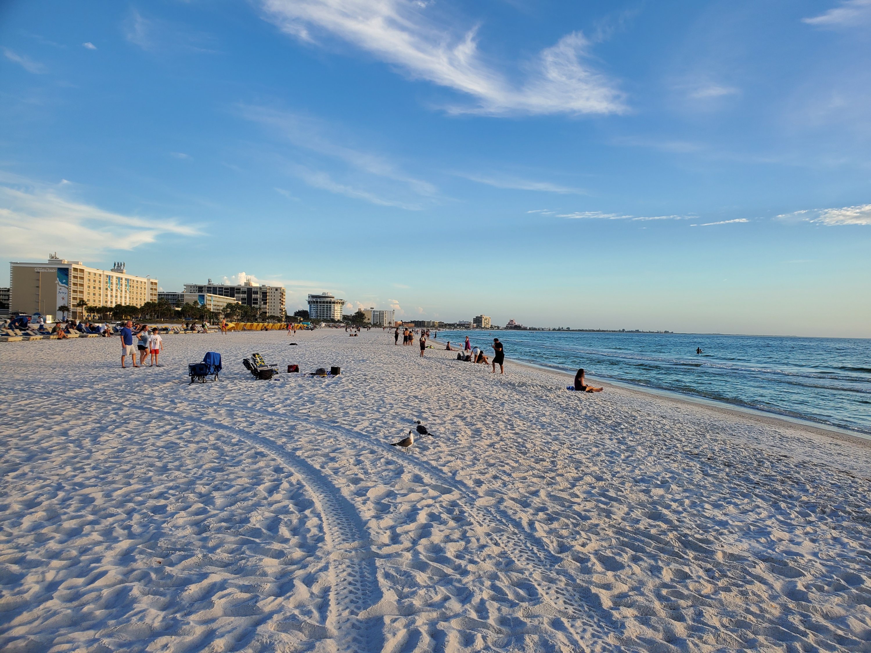 Hilton Garden Inn St. Pete Beachס