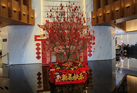 #虎年新春行#【白云山下，木棉花开】，广州天河鼎龙希尔顿花园酒店入住体验