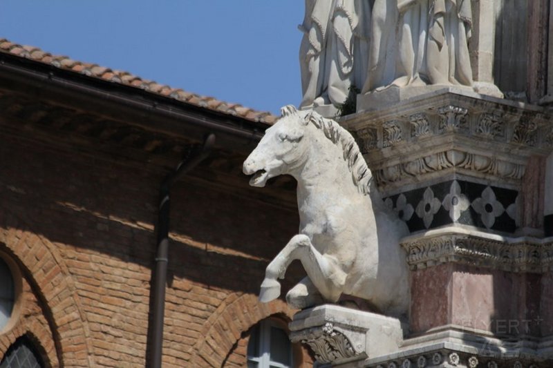 Siena--Duomo (36).jpg