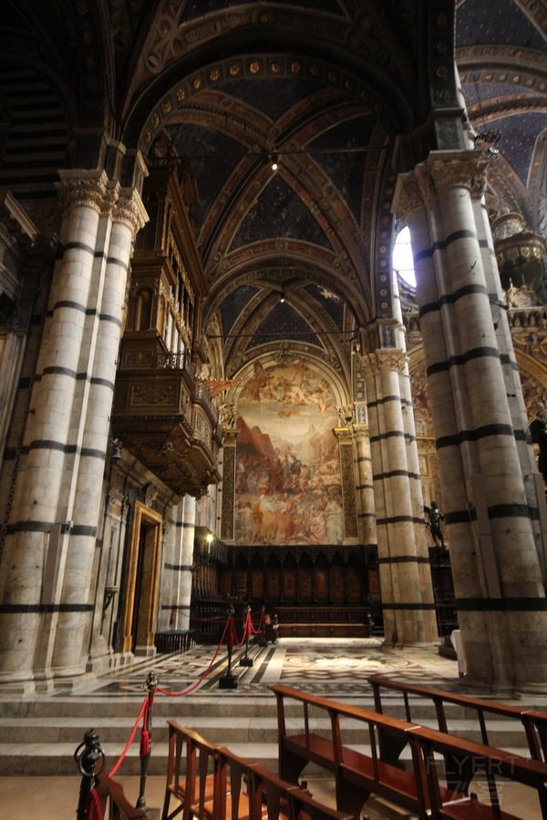 Siena--Duomo (14).jpg