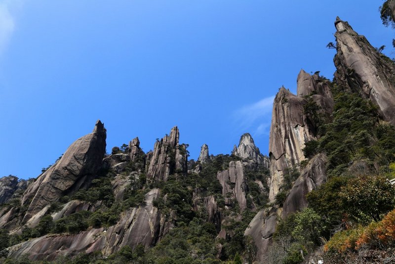 Mount Sanqingshan National Park (39).JPG