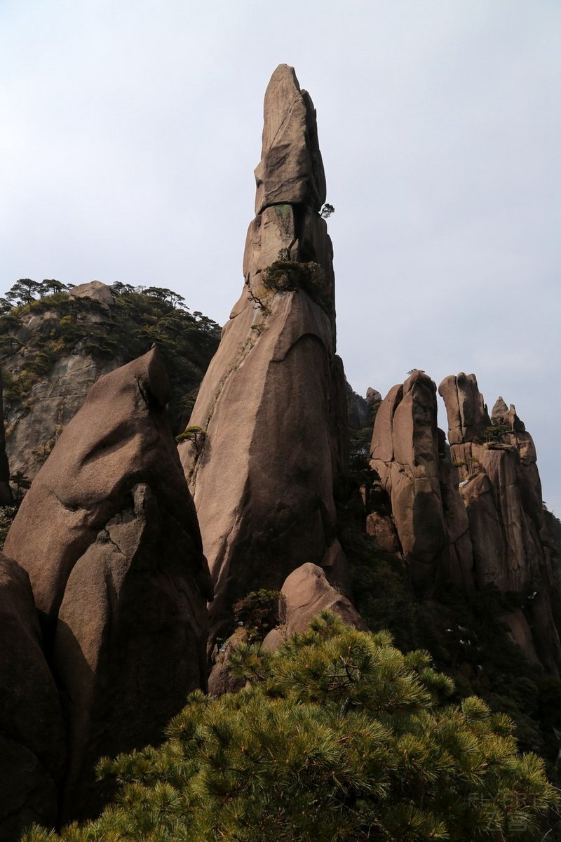 Mount Sanqingshan National Park (74).JPG