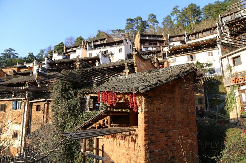 Wuyuan County--Huanglin Village (73).JPG