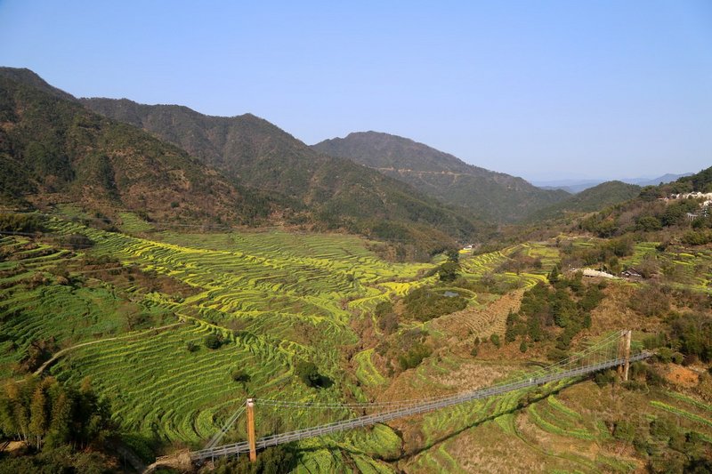 Wuyuan County--Huanglin Village Rape Flowers (13).JPG