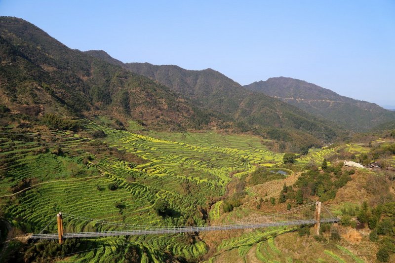 Wuyuan County--Huanglin Village Rape Flowers (14).JPG