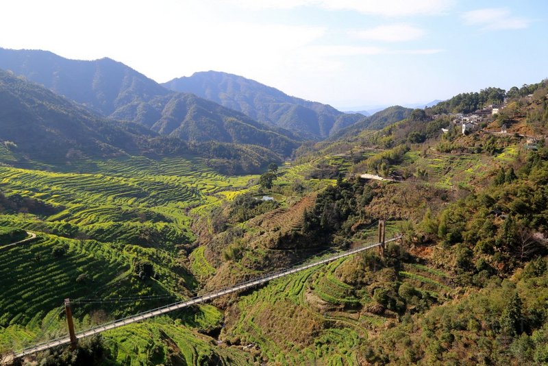 Wuyuan County--Huanglin Village Rape Flowers (5).JPG