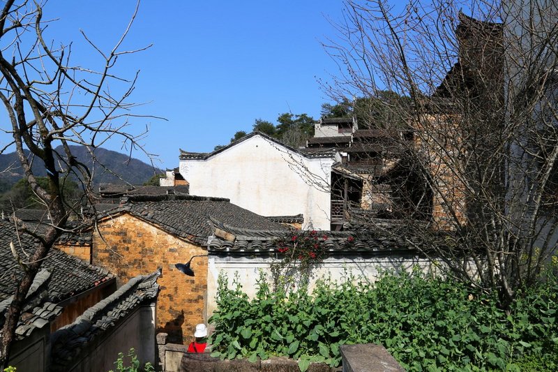 Wuyuan County--Huanglin Village Hotel (36).JPG