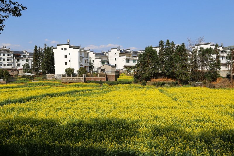 Wuyuan County--Likeng Village (196).JPG