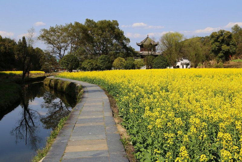 Wuyuan County--Likeng Village (190).JPG