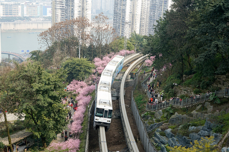 2号线是重庆的一条比较早的地铁线,正值佛图关花开时节,梅花,樱花