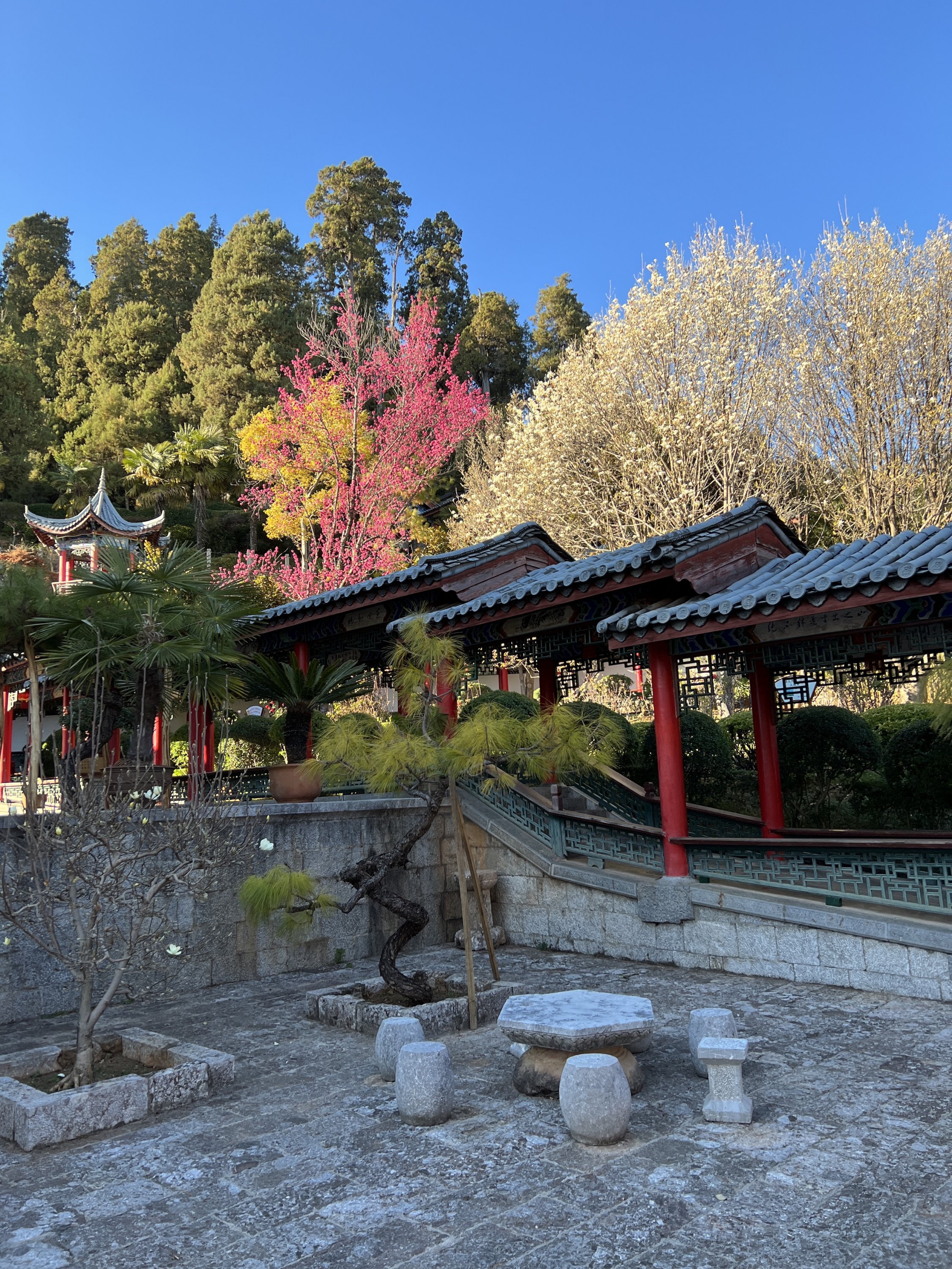 ïѡJinmao Hotel Lijiang׷ѩɽ