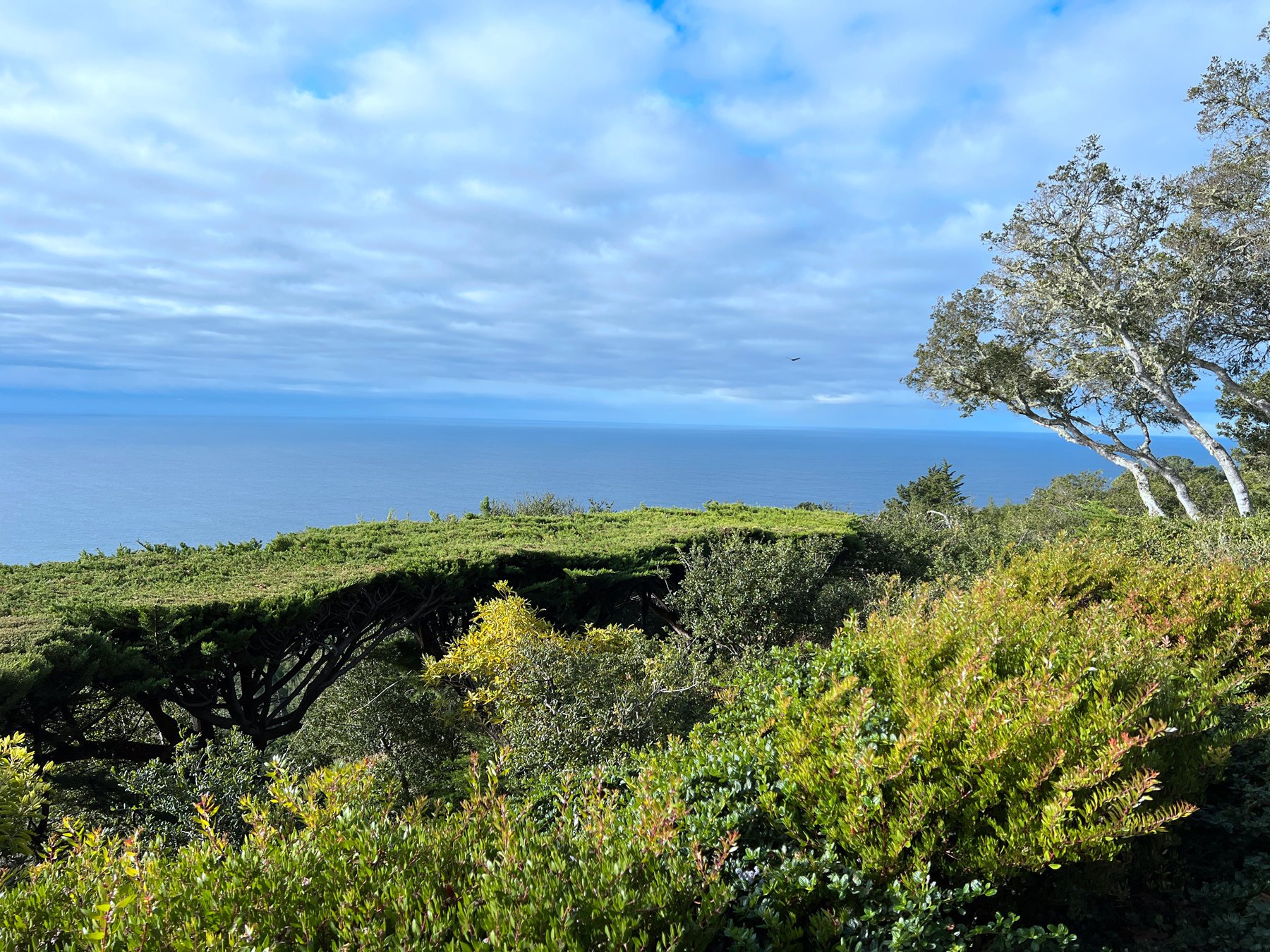 θս Alila Ventana Big Sur