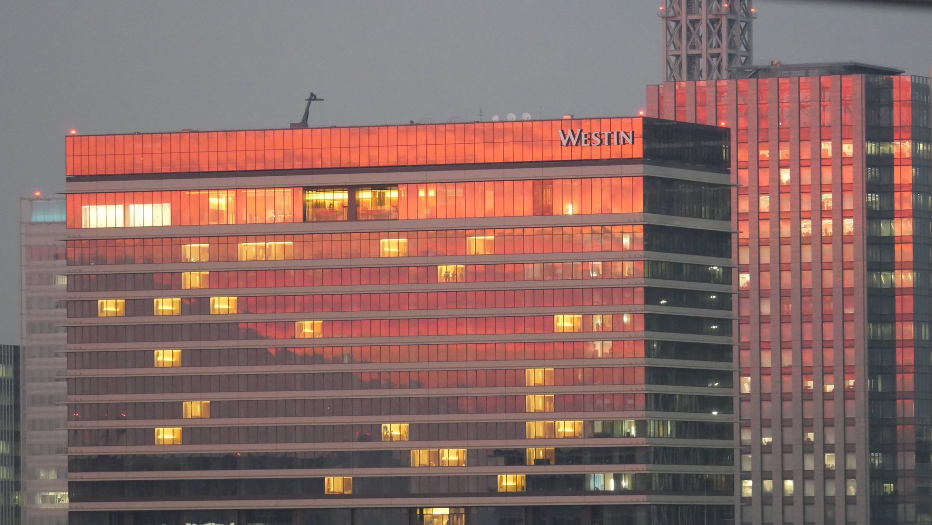 ձ |  Westin󴲿ͷҵ