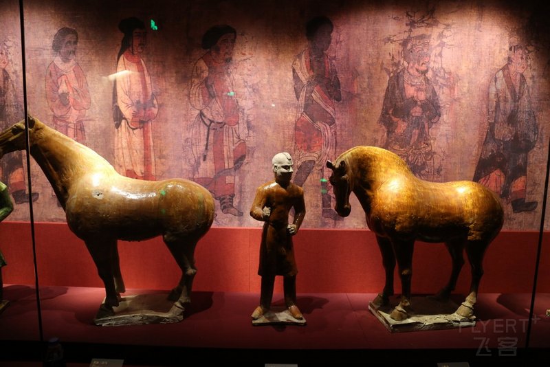 Lanzhou--Gansu Provincial Museum (11).JPG