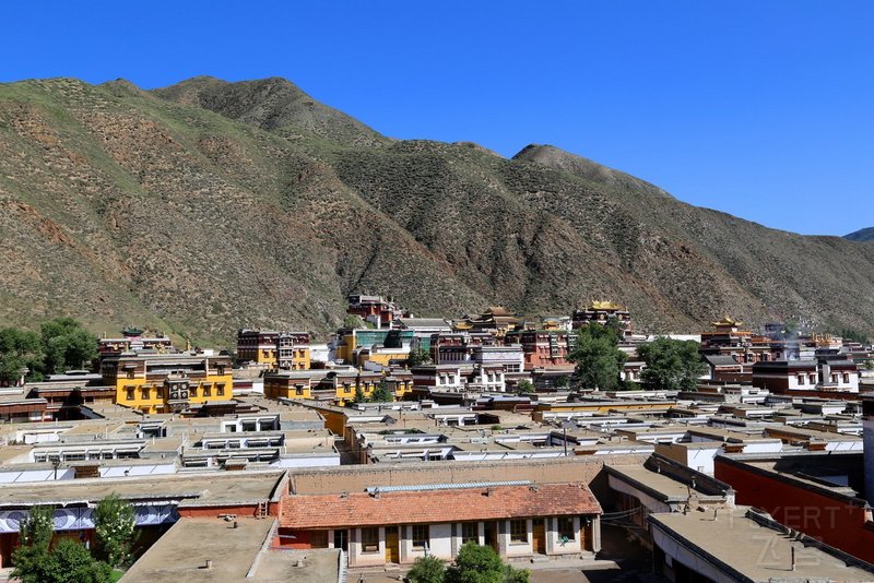 Xiahe--Labrang Monastery (55).JPG