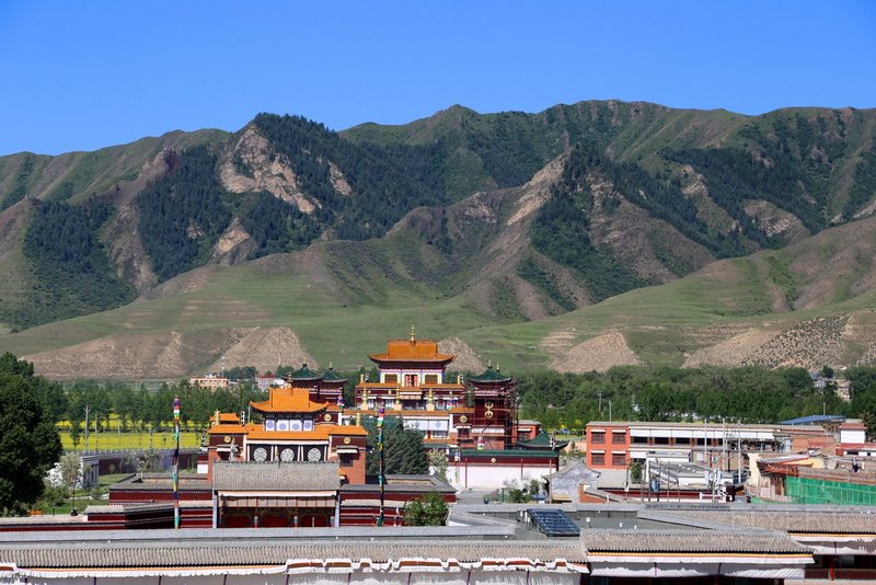Xiahe--Labrang Monastery (56).JPG