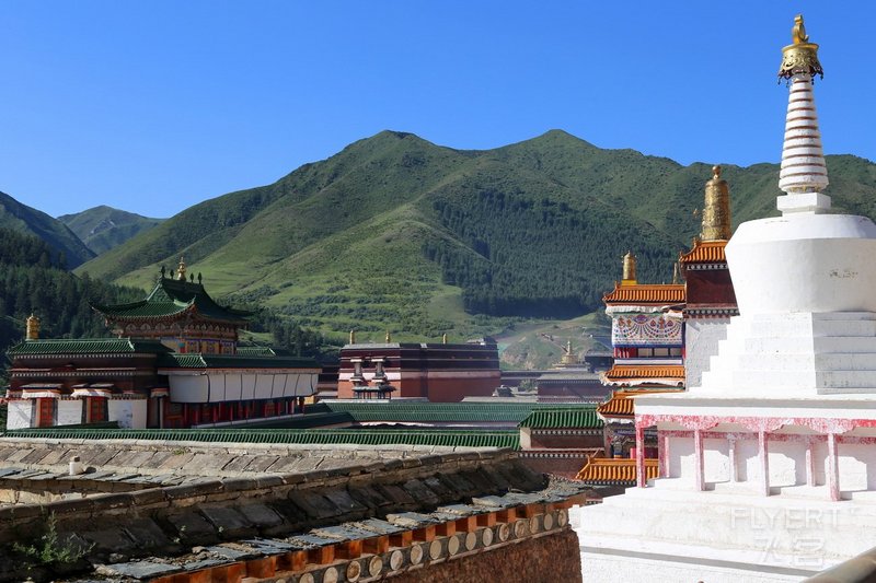Xiahe--Labrang Monastery (37).JPG
