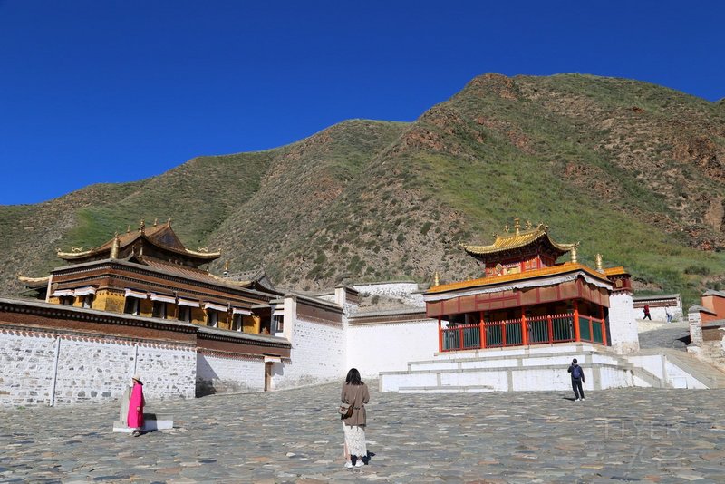 Xiahe--Labrang Monastery (40).JPG