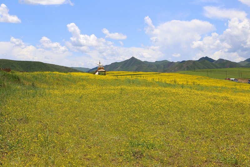 Gannan--Road View from Xiahe to Langmu Temple (34).JPG